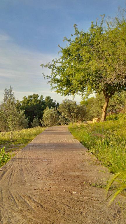 Villa Du Souss Агадир Экстерьер фото